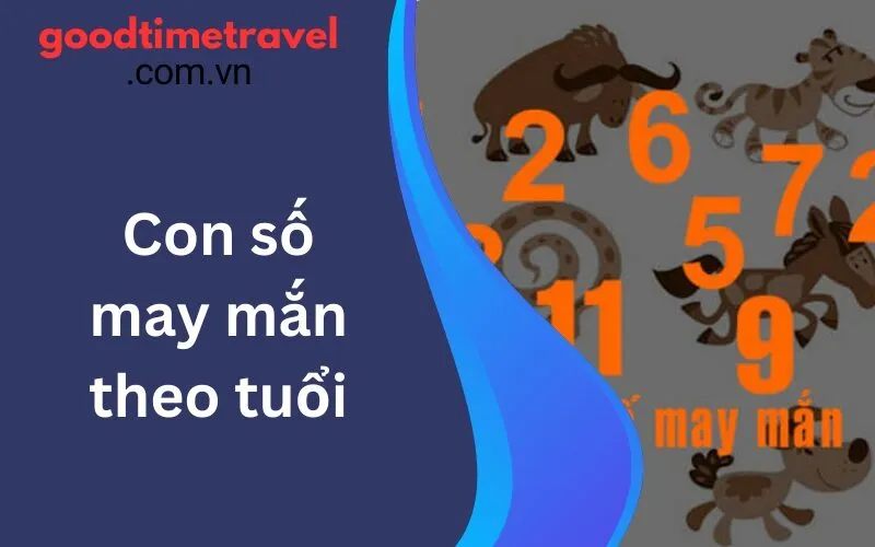 Con số may mắn theo tuổi: Cách xác định số của bạn