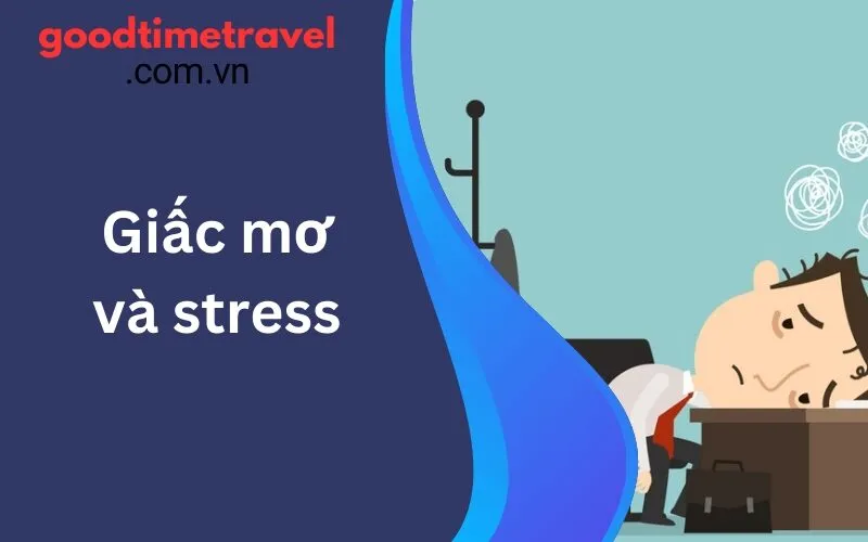 Giấc mơ và stress: Trốn thoát khỏi áp lực công việc bằng chuyến đi