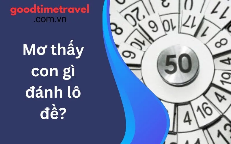 Mơ Thấy Con Gì Đánh Lô Đề? Chọn Số Theo Giấc Mơ