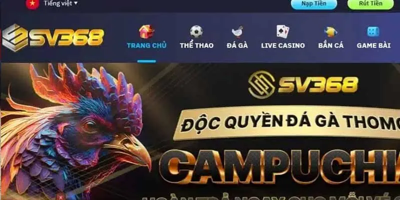 Tham gia kiếm tiền tại Đá gà Campuchia SV368 - Đẳng cấp chọi gà